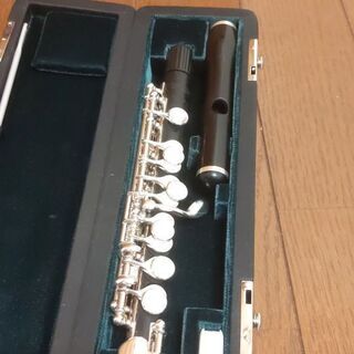 ハンミッヒピッコロ650/2