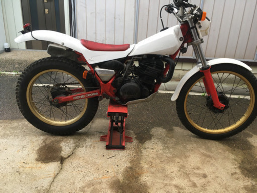 TY250Sスコティッシュ53Y