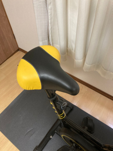 HAIGE スピンバイク(互換ペダル、サドルカバー付き)