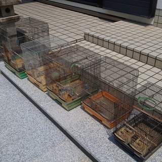 鳥かご5個 マック 吉野ケ里公園のその他の中古あげます 譲ります ジモティーで不用品の処分