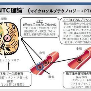 pm-FitLineデュオ ビーガン