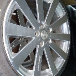 ヴェネルディエルボラーニ19インチ