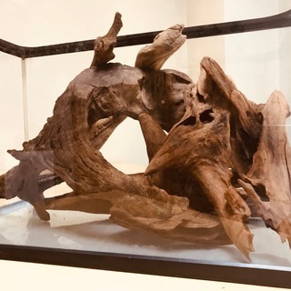 流木　３本　マングローブ　爬虫類、ヤドカリ、水槽装飾