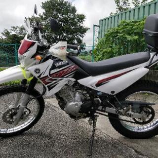 YAMAHA XTZ125 機関絶好調 自賠責R5年4月 YAMAHA XTZ125 機関絶好調 自賠責R5年4月