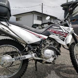 YAMAHA XTZ125 機関絶好調 自賠責R5年4月 YAMAHA XTZ125 機関絶好調 自賠責R5年4月