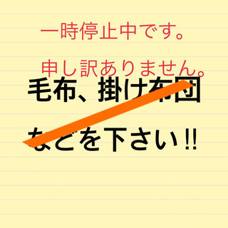 要らなくなった “毛布” 下さい。沢山探しています!!