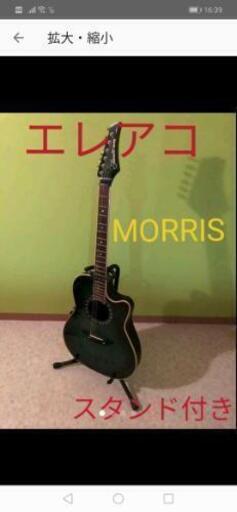MORRIS Tornado ECLIPSE  ZⅢ  エレアコ スタンド付き