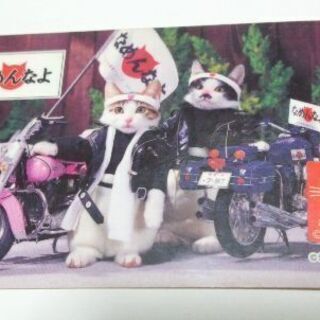 なめられたら無効なめ猫免許証又吉バージョン Oki 那覇のその他の中古あげます 譲ります ジモティーで不用品の処分