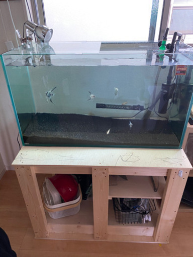 オールガラス　90cm 水槽　GEX