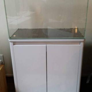 60センチ水槽、台、フィルター、ライト、本セット