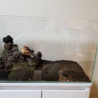 60センチ水槽、台、フィルター、ライト、本セット