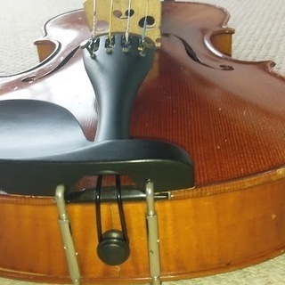 ビオラ売ります！