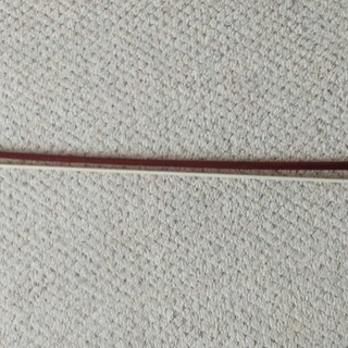 ビオラ売ります！