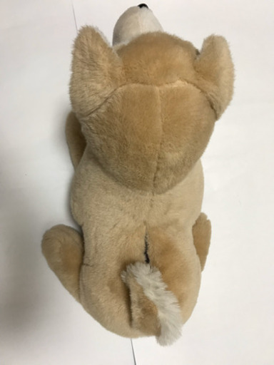 可愛い犬のぬいぐるみ型 ティッシュケース ぬいぐるみ ティッシュボックスカバー すず 志村三丁目の生活雑貨の中古あげます 譲ります ジモティーで不用品の処分 可愛い犬のぬいぐるみ型 ティッシュケース ぬいぐるみ ティッシュボックスカバー すず 志村三丁目の生活雑貨の中古あげます 譲ります ジモティーで不用品の処分