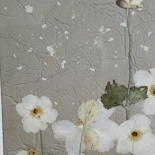 押し花アート　杉野宣雄作品