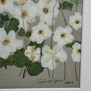 押し花アート　杉野宣雄作品