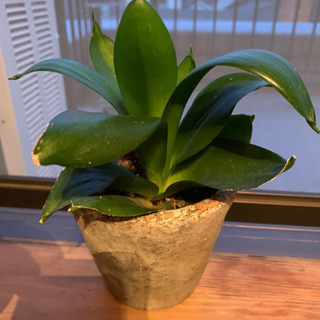 中古島忠 その他が無料 格安で買える ジモティー