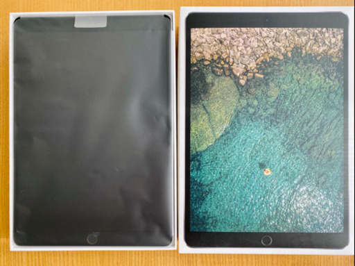 超美品】iPad Pro 10.5 256GB Wifiモデル | camarajeriquara.sp.gov.br