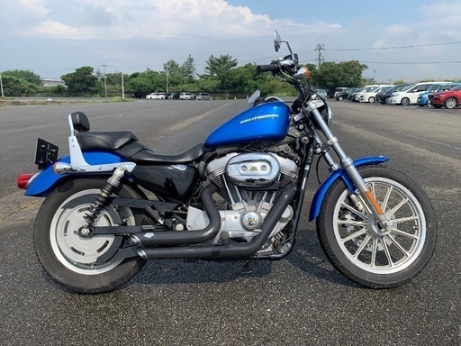 ハーレーダビットソン XL883L 50th限定 試乗動画有