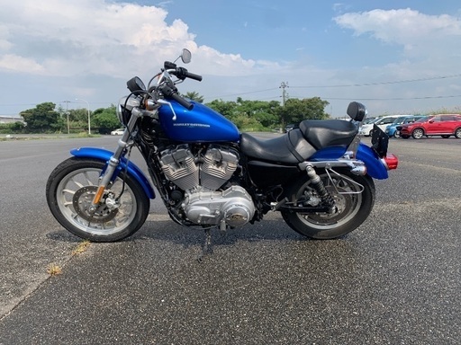 ハーレーダビットソン XL883L 50th限定 試乗動画有