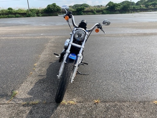 ハーレーダビットソン XL883L 50th限定 試乗動画有 ハーレー