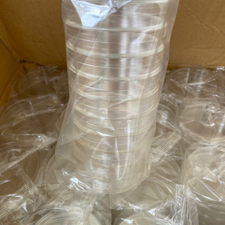 ☆宇都宮市より☆未使用品☆γガンマー滅菌DHシャーレ 10枚