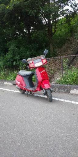 リード50 SS 車体 旧原付