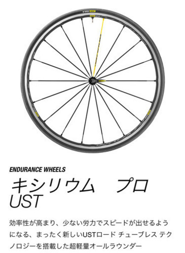 キシリウムプロUST