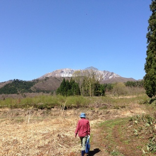 鳥取県大山南麓、山遊びのための平らな山林、森のリビングです