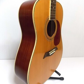 Elioth revolution アコースティックギター アコースティックギター Elioth revolution - メルカリ