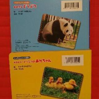 美品 動物絵本2冊 紫陽花 守谷のキッズ用品 幼児教育 の中古あげます 譲ります ジモティーで不用品の処分 美品 動物絵本2冊 紫陽花 守谷のキッズ用品 幼児教育 の中古あげます 譲ります ジモティーで不用品の処分