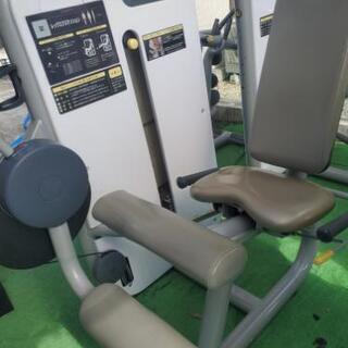 フィットネス、トレーニング 中古ウェイトマシン テクノジム