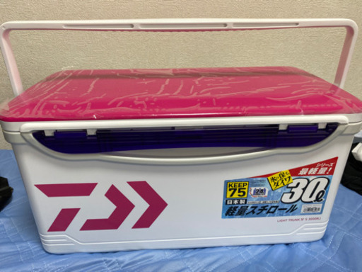 ダイワ　LIGT TRUNK Ⅳ S 300RJ