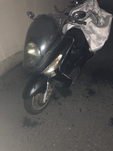 SYM RV250 ビックスクーター