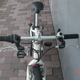 LOUIS GARNEAU (ルイガノ) LGS-J206 20インチ KIDSクロスバイク 管理NO.20200723-1