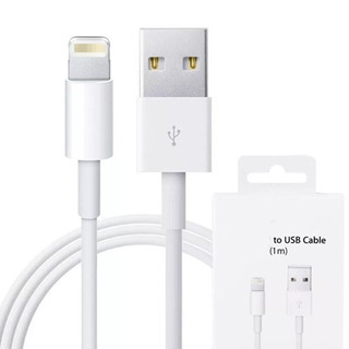 iPhone Lightning cable①