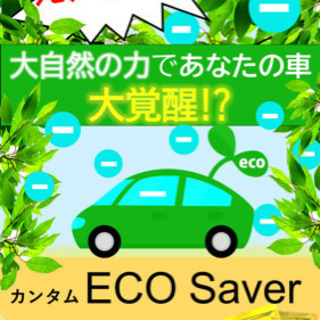 【お試し期間あり】燃費向上！カンタムecosavor！