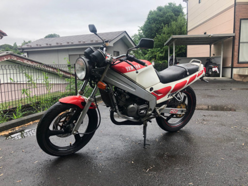 TZR125 (商談中・メッセージ受付可!)