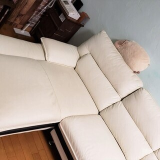 2/15 値下げ! Karimoku カリモク 本革 2Pソファ ZEシリーズ ベージュ