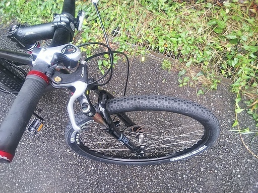 ファットバイク　前輪タイヤ付き ファットバイクのおすすめ人気ランキング2025年11月 | マイベスト