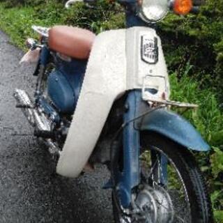 スーパーカブ50　Fi　(1213)