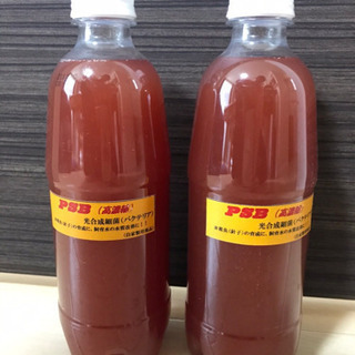 PSB 高濃縮光合成細 バクテリア 500ml✖️2本