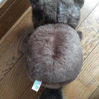 レア ファースト社 たぬきのたま吉 ぬいぐるみ | clinicaversalles.com.pe