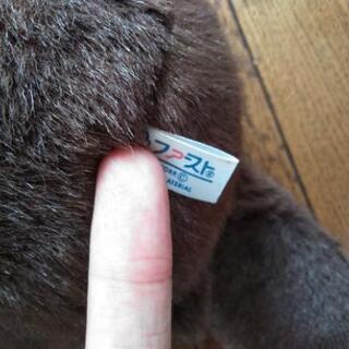 レア ファースト社 たぬきのたま吉 ぬいぐるみ | w2-worldbuffet.co.uk