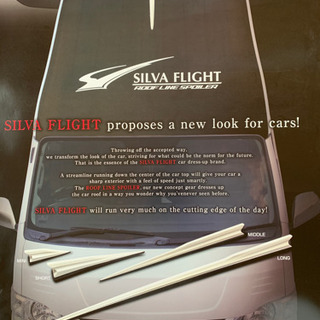 SILVA FLIGHT ポスター