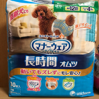 犬用オムツ（猫にも可能）