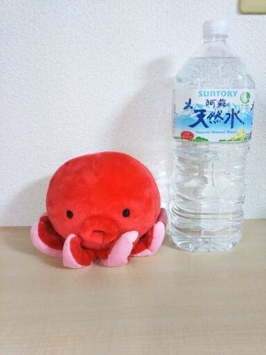 お譲り先が決まりましたタコとサメのぬいぐるみ ハムちゃん 熊本のおもちゃ ぬいぐるみ の中古あげます 譲ります ジモティーで不用品の処分 お譲り先が決まりましたタコとサメのぬいぐるみ ハムちゃん 熊本のおもちゃ ぬいぐるみ の中古あげます 譲ります ジモティーで不用品の処分