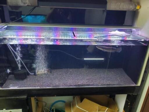 アクリル水槽 1200×450×450 セット | www.sman1sukawangi.sch.id