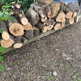薪用の原木