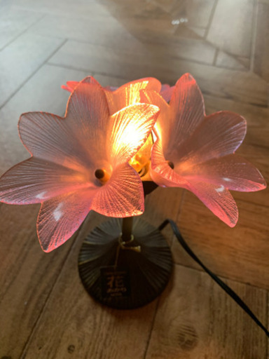 花可愛い照明間接照明可愛い花びら さにーれたす 広島の照明器具の中古あげます 譲ります ジモティーで不用品の処分 花可愛い照明間接照明可愛い花びら さにーれたす 広島の照明器具の中古あげます 譲ります ジモティーで不用品の処分